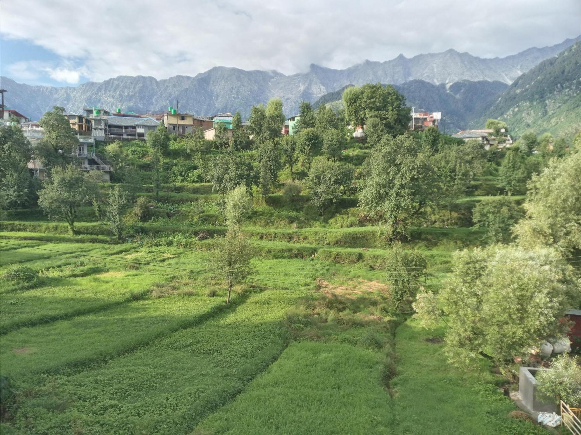 Nirmal Homestay Dharamshala Exterior photo